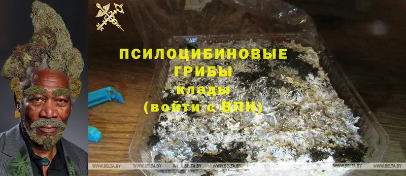 Псилоцибиновые грибы Magic Shrooms  OMG ТОР  Улан-Удэ  купить  цена 